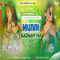 Munni Badnam Hui Darling Tere Liye Hard Jhankar Bass Mix By Dj Palash NalaGola